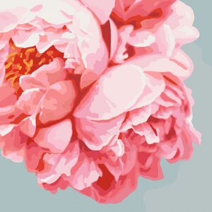 Картина за номерами "Рожеві півонії" ідейки полотно на підрамнику 40x40см КНО3035