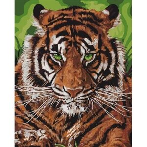 Картина за номерами "Непереможний тигр" ідейки полотно на підрамнику 40x50см КНО4143