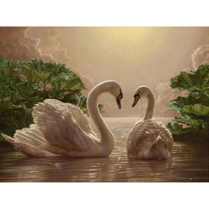 Картина за номерами "Пара лебедів" ідейки полотно на підрамнику 40x50см КНО301