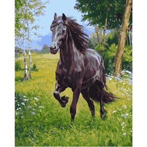 Картина за номерами Strateg Арабська кінь, 40х50 см