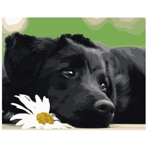 Картина за номерами Чорний щеня (VA-0518)