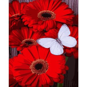 Картина за номерами Strateg Білий метелик на червоних гербер, 40х50 см