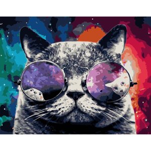 Картина за номерами Космічний кіт, 40х50 см (VA-1096)