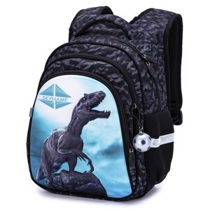 Шкільний рюкзак для хлопчиків SkyName R2-189