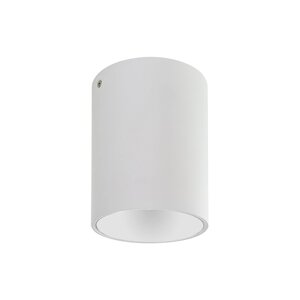 Білий накладний світильник точковий під лампу GU10 циліндричної форми Horoz Electric SALSA-L