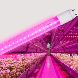 Фитолампа світлодіодна для рослин VIDEX T8F 9W 60см., LED FITO лампа 60 см. для світильника фіто