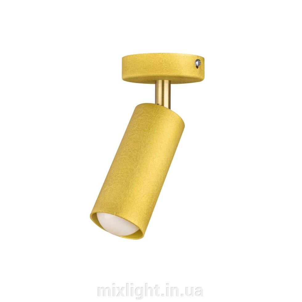 Світильник MSK Electric Tube спот з поворотним механізмом MR 1105-1 GD від компанії Mixlight - фото 1