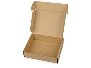 Коробка НП 0,25 кг плоска, 17х12х5 см, краще Нової Пошти, самозбірна, гофрокартон Т22, профіль Е
