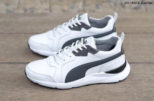 Puma 80 2024