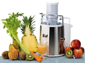 Ремонт соковижималки