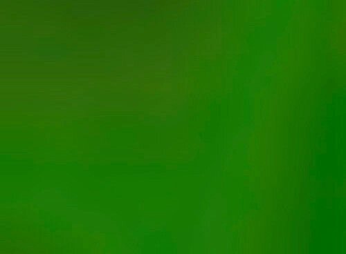 Наржавійка в листах з покриття зеленого кольору, товщина 0,4 мм, 2 * 1 м від компанії Церковна крамниця "Покрова" - церковне начиння - фото 1