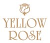 Yellow Rose