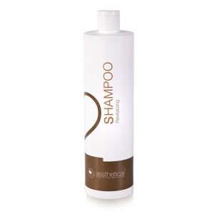 Ревіталізуючий шампунь Aescalp Revitalizing Shampoo Aesthetical, 500 мл