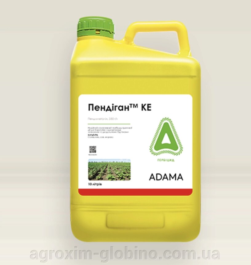 Пендіган пендиметалін, 330 г/л від компанії "Агрохімія" Засоби захисту рослин та Посівний Матеріал - фото 1