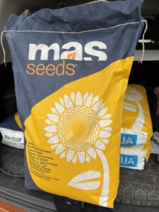 Соняшник MAS 93. CP