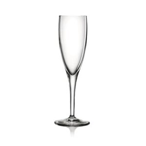 Келих для шампанського michelangelo masterpiece 200 мл Luigi bormioli скло прозорий (a06105g1002aa20)