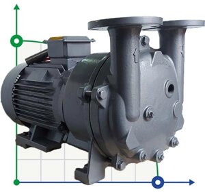 2BV5111, AISI 316 вакуумний насос для агресивних газів