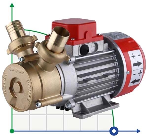 MARINA 30-24V насос для перекачування пива, браги, сусла від компанії BTS-ENGINEERING - фото 1