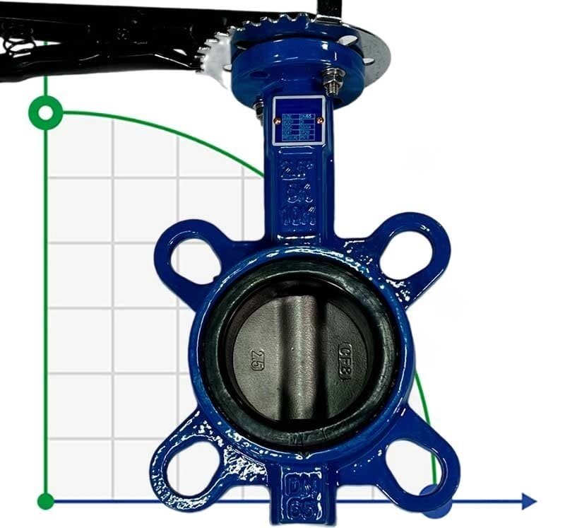 PN16 DN65 Засувка Батерфляй, чавунний корпус, диск AISI 304, Seat EPDM від компанії BTS-ENGINEERING - фото 1