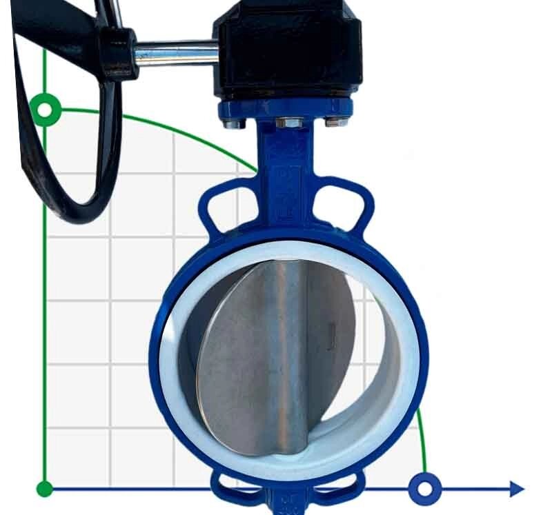 PN6 DN200 Засувка Батерфляй, чавунний корпус, диск AISI 304, Seat: PTFE від компанії BTS-ENGINEERING - фото 1