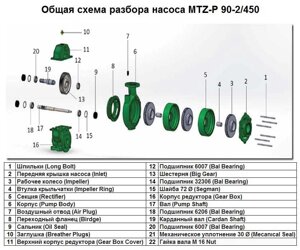 Підшипник 6206 Bal Bearing поз. 18 до насоса MTZ-P 90-2/450, арт. 1015508