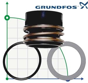 Ущільнення вала grundfos BAQE GG D55 grundfos TP/NB/NK арт. 96306475