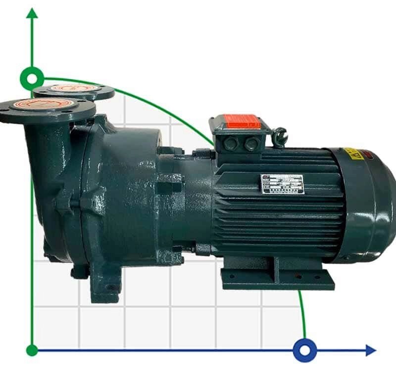 Вакуумний насос 2BV5121 (AISI 316) від компанії BTS-ENGINEERING - фото 1