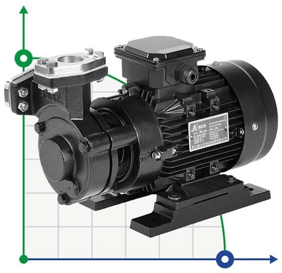 Вихровий масляний насос WM-10S, 220V, -30°C+200°C від компанії BTS-ENGINEERING - фото 1