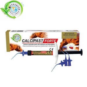 Calcipast Forte (Кальципаст Форте) материал для временного пломбирования каналов, шприц 2.1 г, Cerkamed