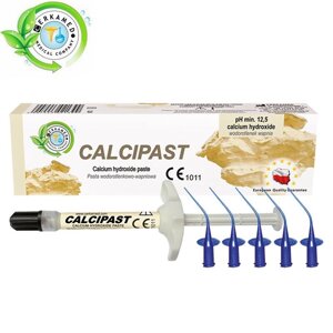 Calcipast (Кальципаст) материал для временного пломбирования, шприц 2.1 г, Cerkamed