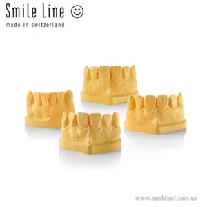 Модели зубов из полиуретана 4-х форм