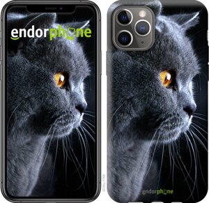 Пластиковий чохол Endorphone на iPhone 11 Pro Гарний кіт (3038t-1788-26985)