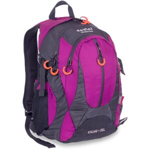 Туристичний рюкзак Deuter G25 25 л Фіолетовий