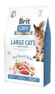 Сухий корм для кішок великих порід Brit Care Cat GF Large cats Power & Vitality з качкою і куркою 2 кг (8595602540914)