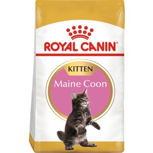 Сухий корм для кошенят Royal Canin Mainecoon Kitten 2 кг (3182550816502) (2558020)