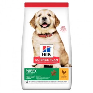 Сухий корм Hill's SP Puppy Large Chicken з куркою для цуценят великих порід 14.5 кг (052742026084)