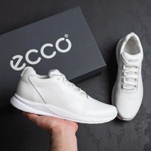Кросівки чоловічі ECCO