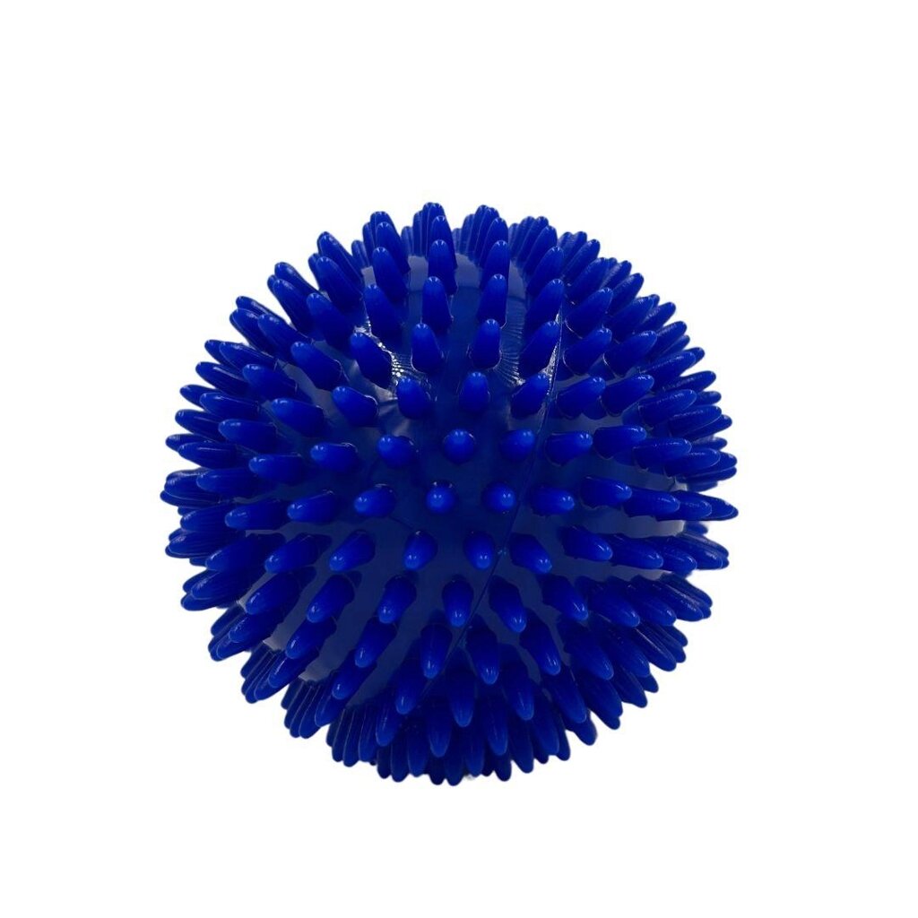 М'яч голчастий Azuni ASA062 (10 см) від компанії Med-oborudovanie - фото 1