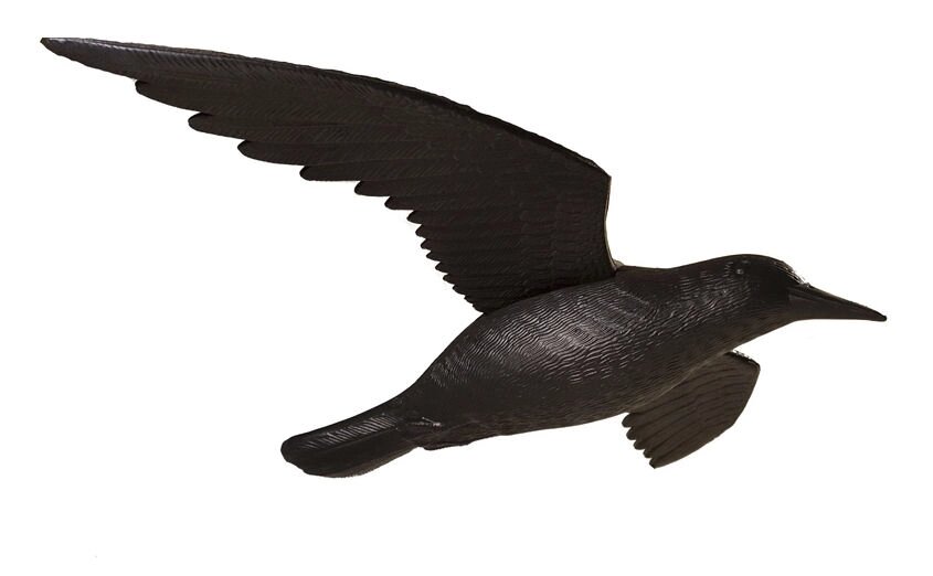 Муляж Ворон в польоті - Захист від голубів від компанії Med-oborudovanie - фото 1