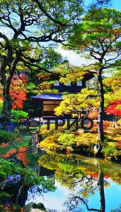 Настінний обігрівач "Японський сад (сад Кіото)