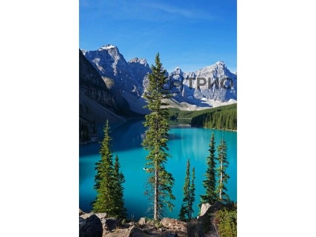 Плівковий настінний обігрівач картина Тріо "Озеро" від компанії Med-oborudovanie - фото 1