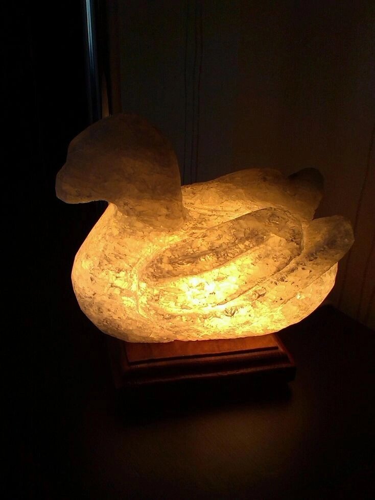 Соляна лампа Каченя від компанії Med-oborudovanie - фото 1