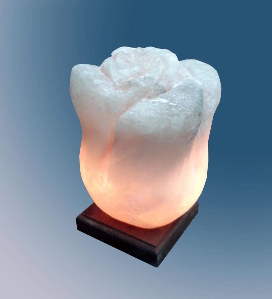 Соляний світильник Розочка 3-4 кг. від компанії Med-oborudovanie - фото 1