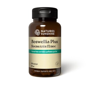 Boswellia Plus Босвеллия Плюс, НСП, США. Для судин, суглобів і кісток. Зменшує больовий синдром.