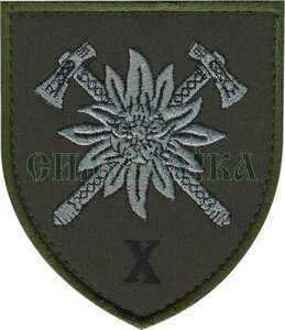 Нарукавні емблема "10 гірсько-штурмова бригада"