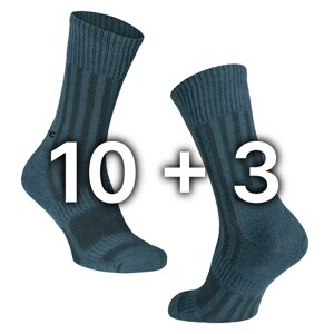 Комплект трекінгових шкарпеток TRK 2.0 Middle 10+3 Сірі (8342)