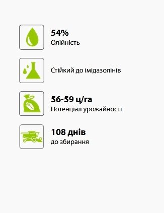 Мішель насіння соняшнику