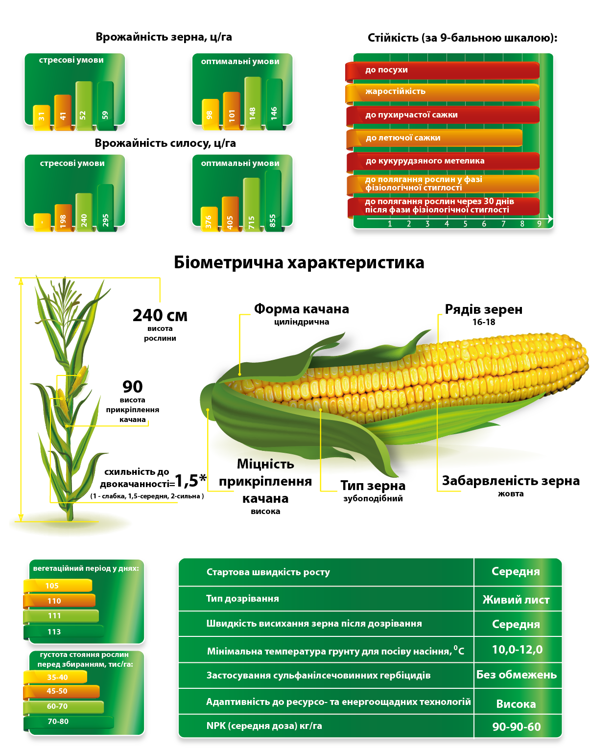ДМС Грант ціна
