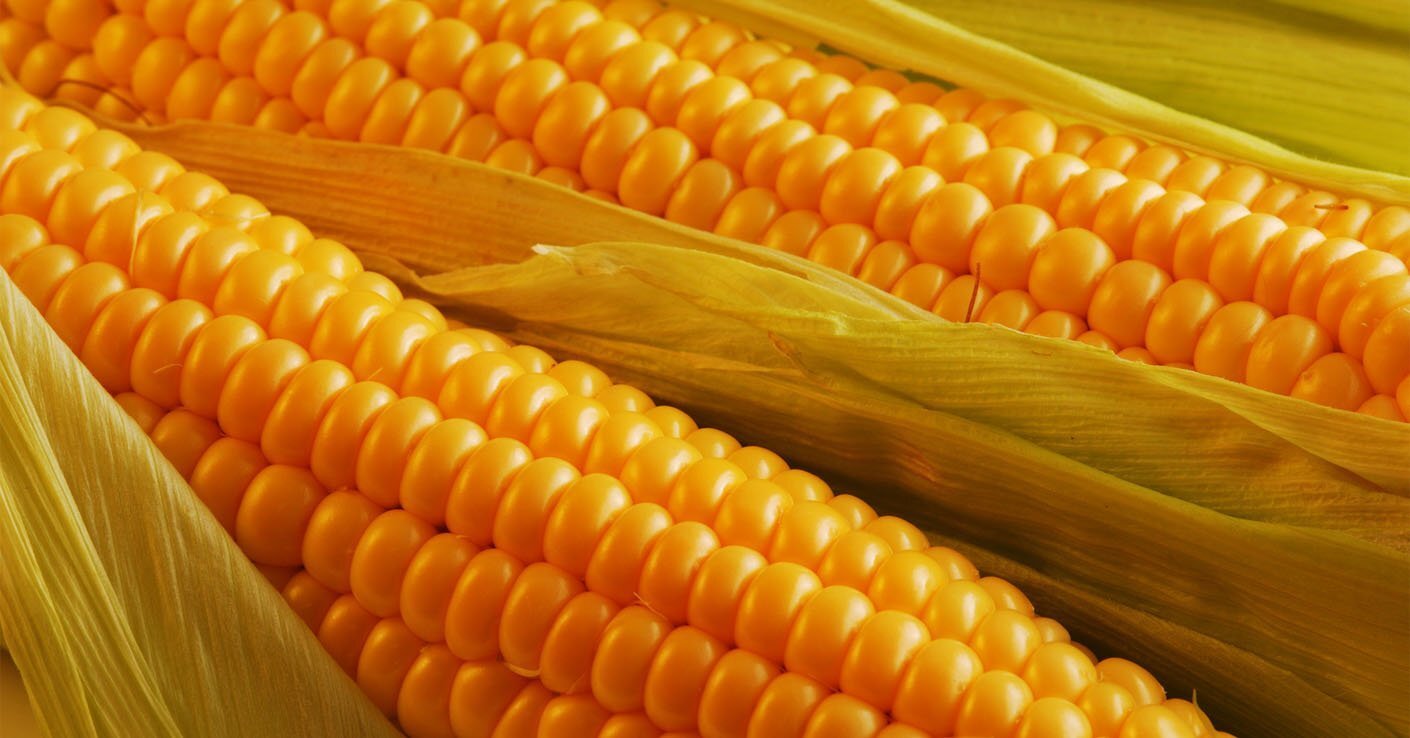 ДМ Санрайз ціна