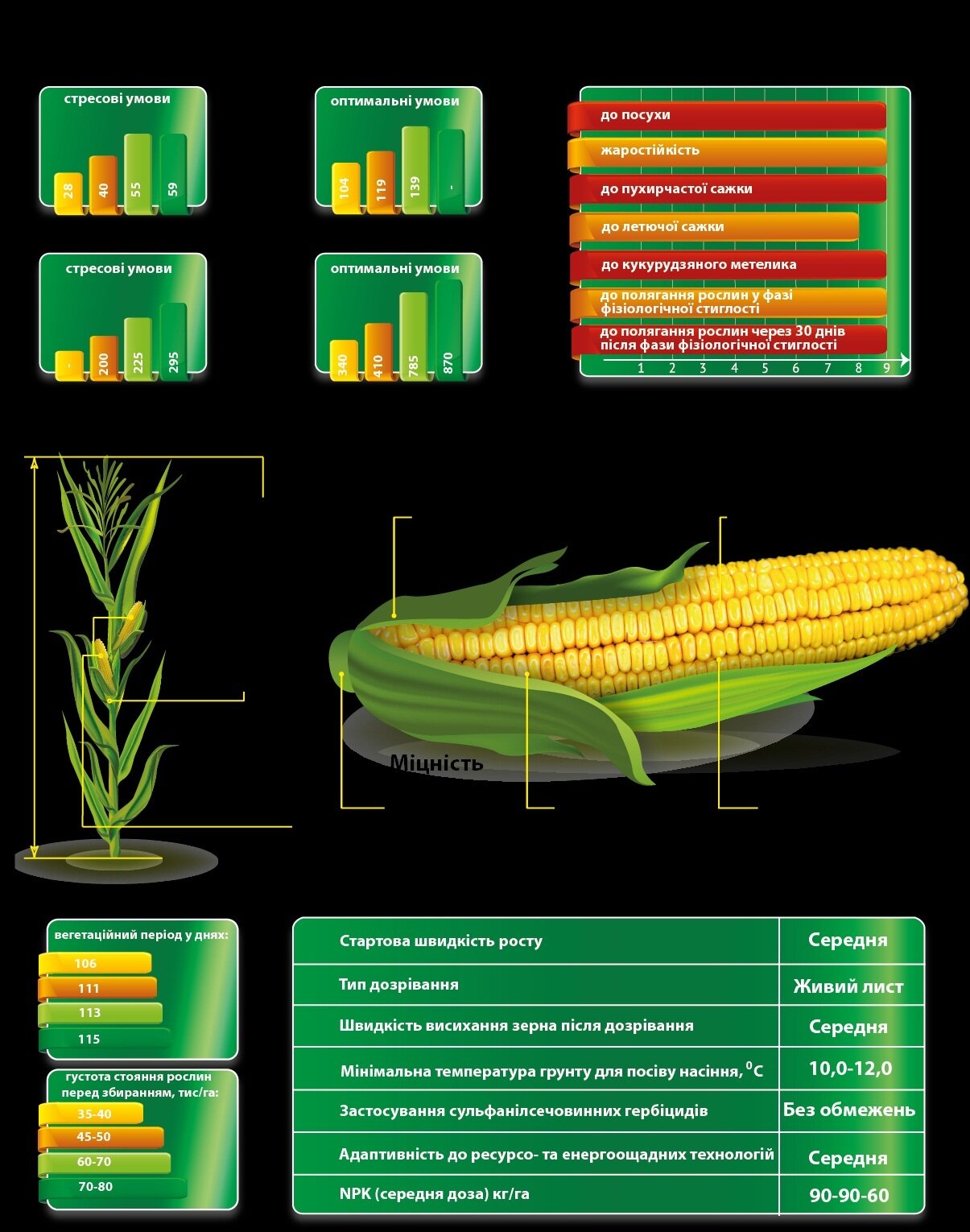 ДМС 3111 купить